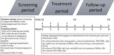 Treatment of refractory immune-mediated necrotizing myopathy with efgartigimod